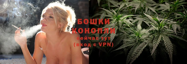 ПСИЛОЦИБИНОВЫЕ ГРИБЫ Михайлов