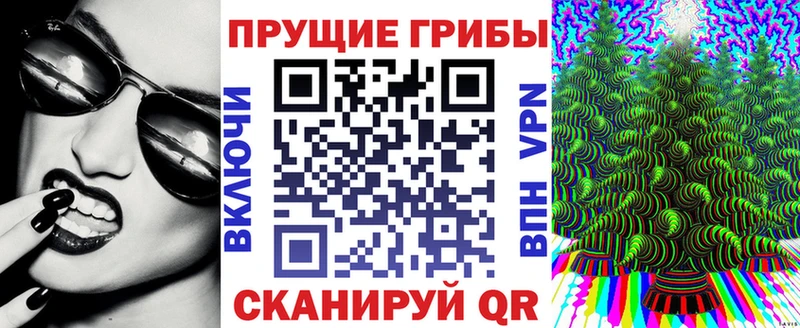 Псилоцибиновые грибы мицелий Жуковка